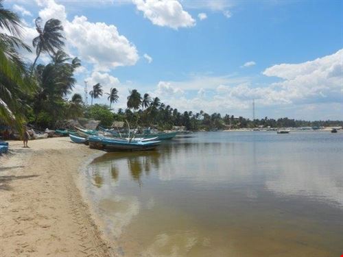  Arugam Bay sabrina sabrina